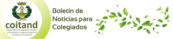 Boletín de Noticias COITAND