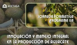 Jornada online "Innovación y Manejo Integral en la Producción de Aguacate" (21 de abril, de 17:00 a 20:00 h.)